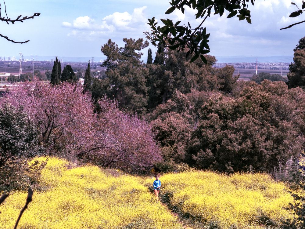 Photograph by Lev Tsenter