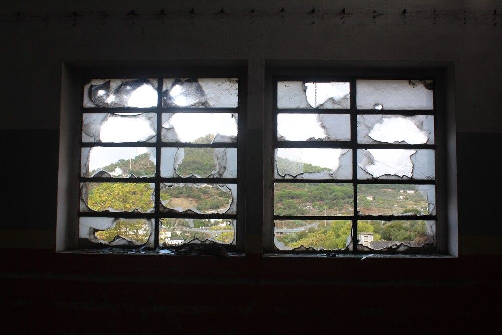 Photograph by Manuel Guedelha