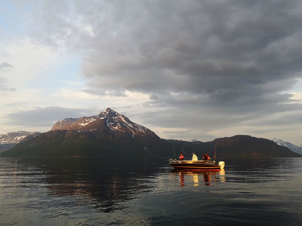 Фотография автора Uljana Kuchar