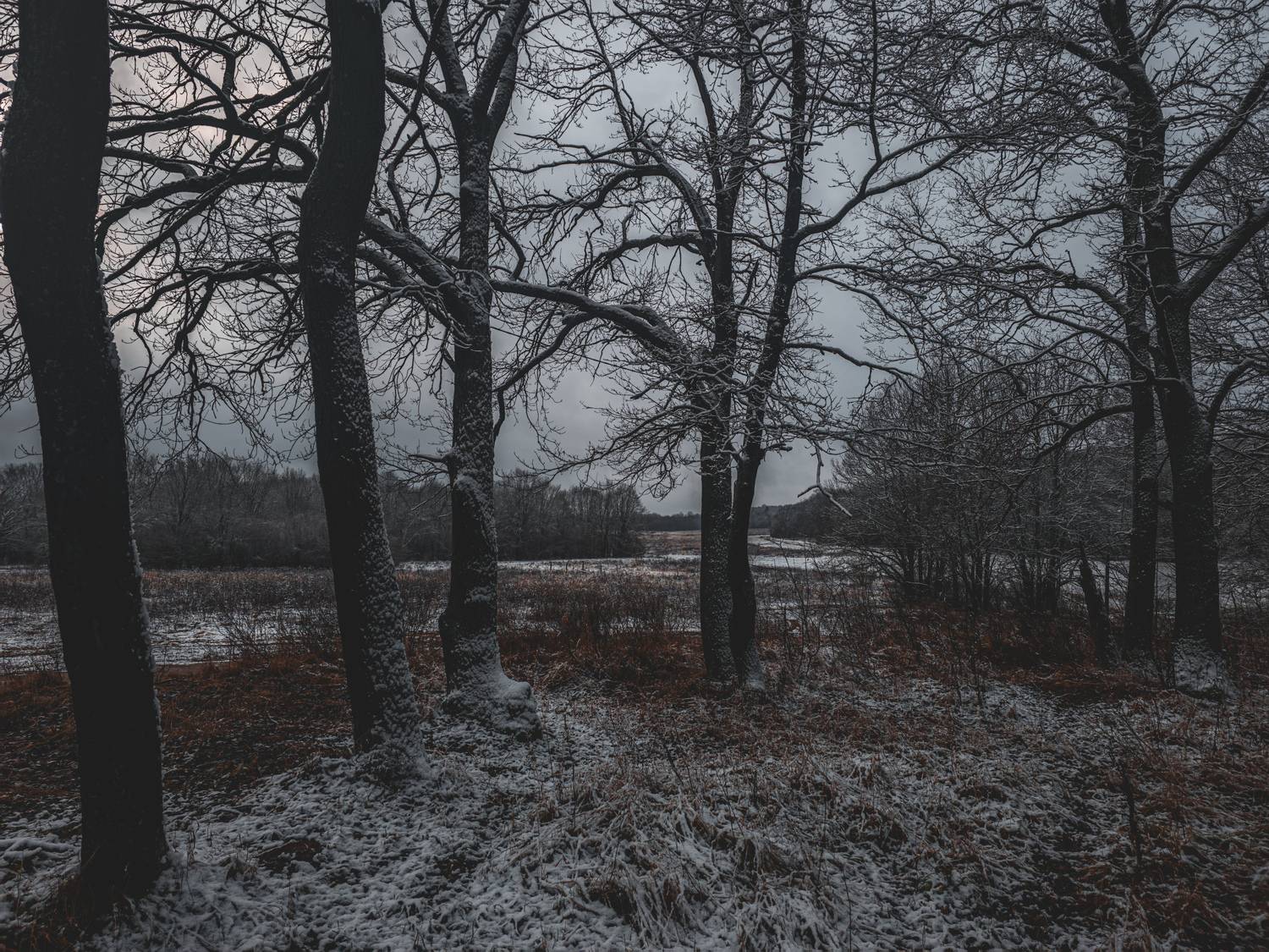 Photo #12890169