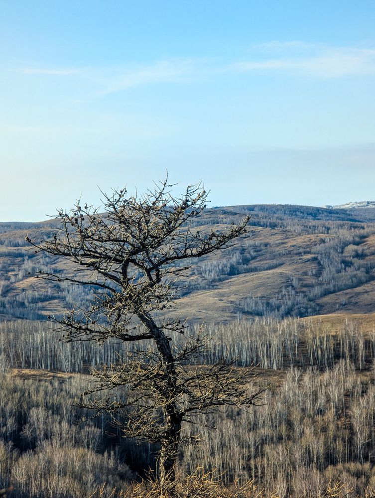 Photograph by Ишниязов Марсель