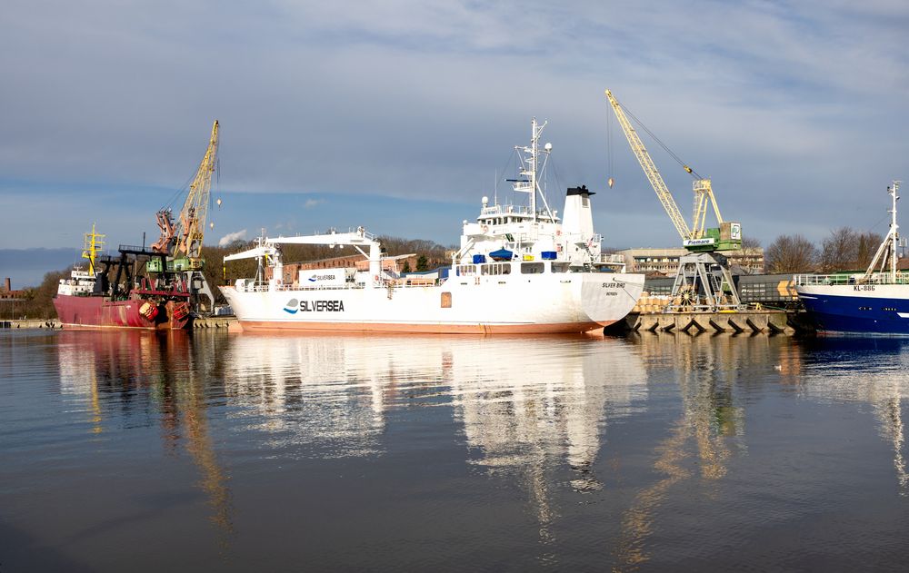 Фотография автора Lija Mežecka