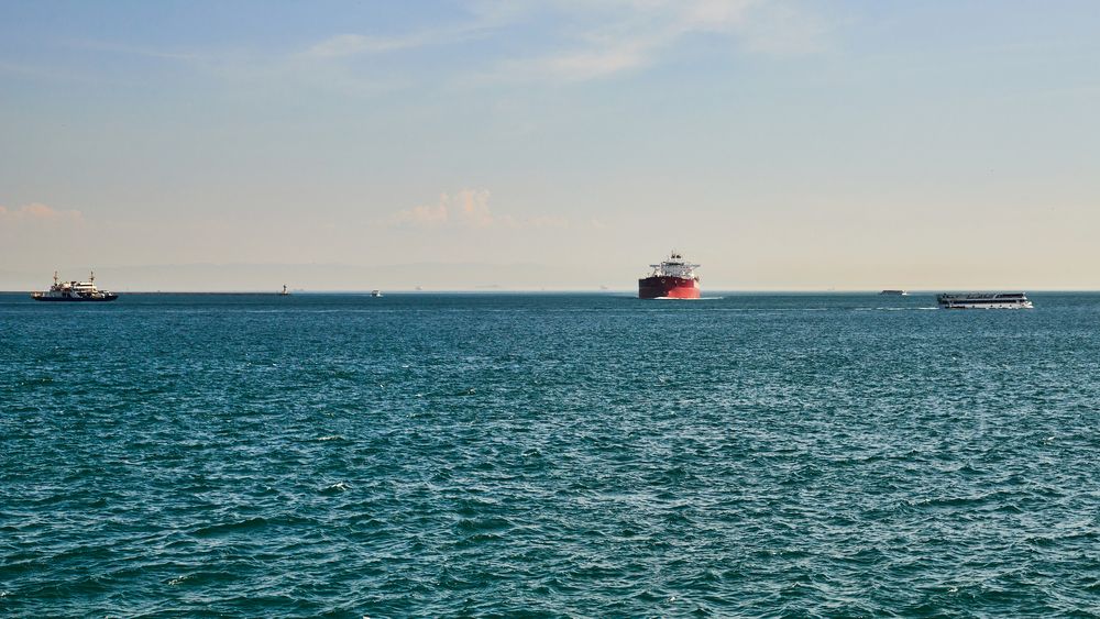 Photograph by Анастасия Васина