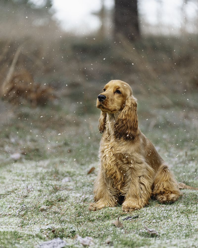 Photograph by Anna Sindikayeva