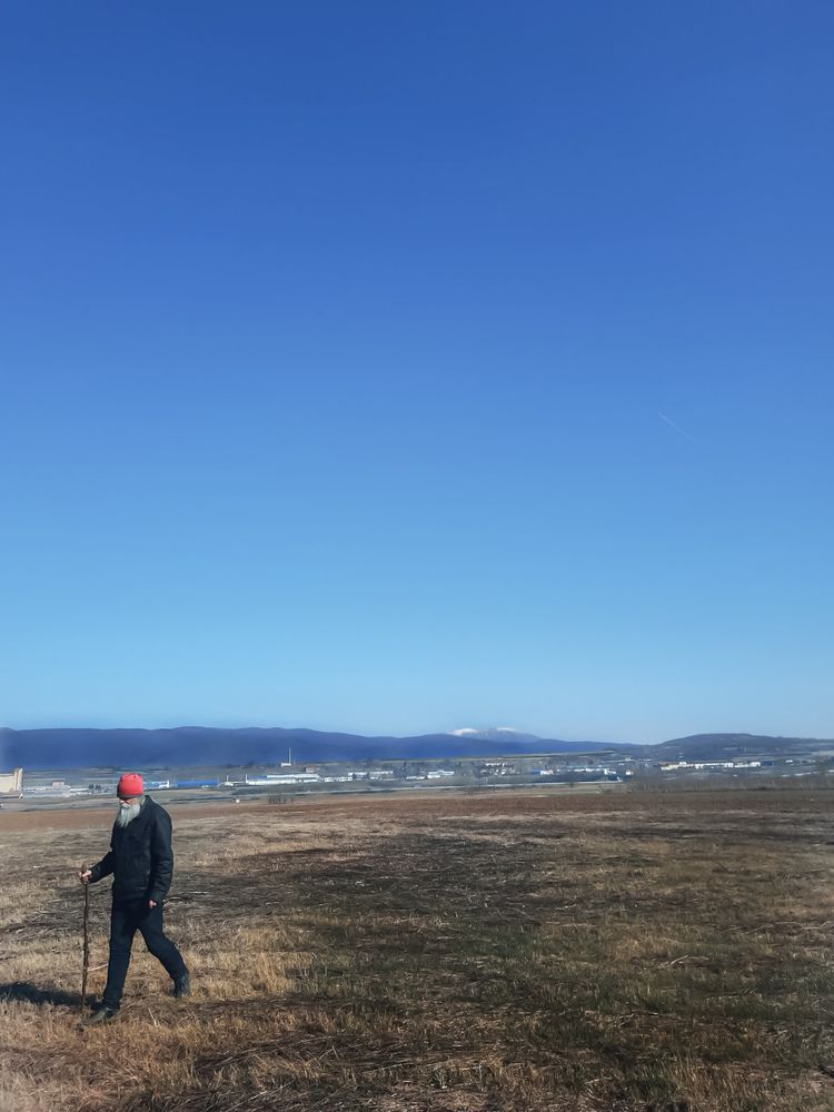 Фотография автора JELENA VASIC