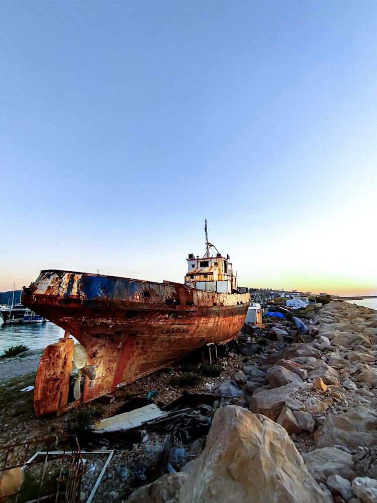 Фотография автора JELENA VASIC