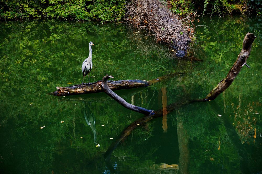 Photograph by Bekir Yesiltas