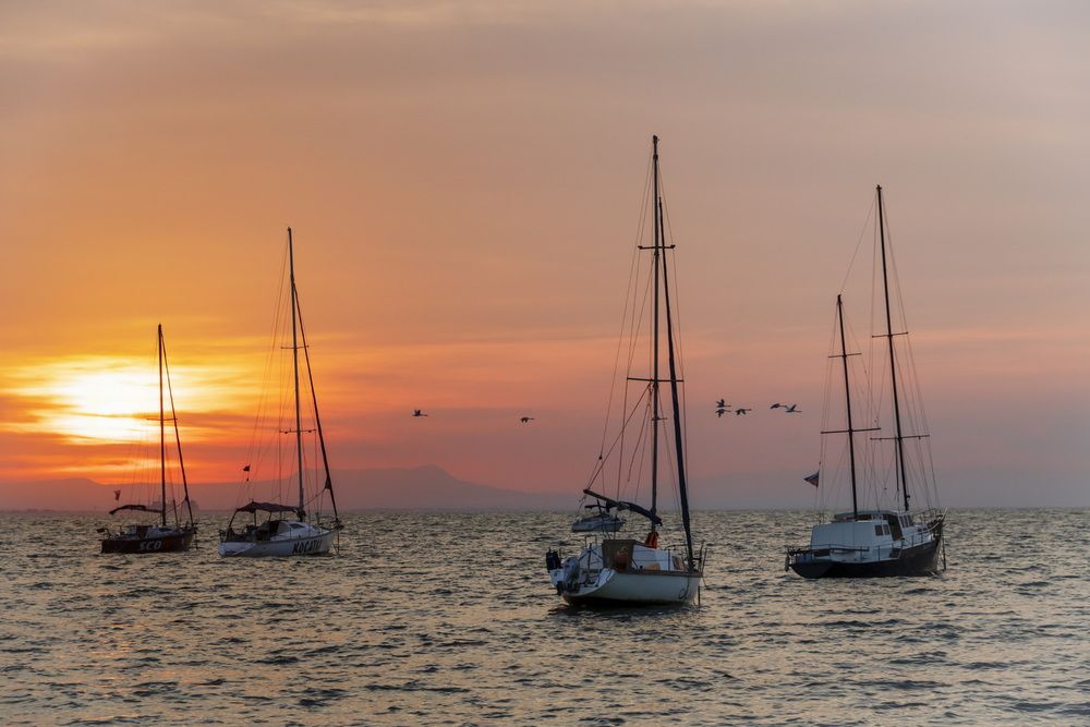 В дальние страны...