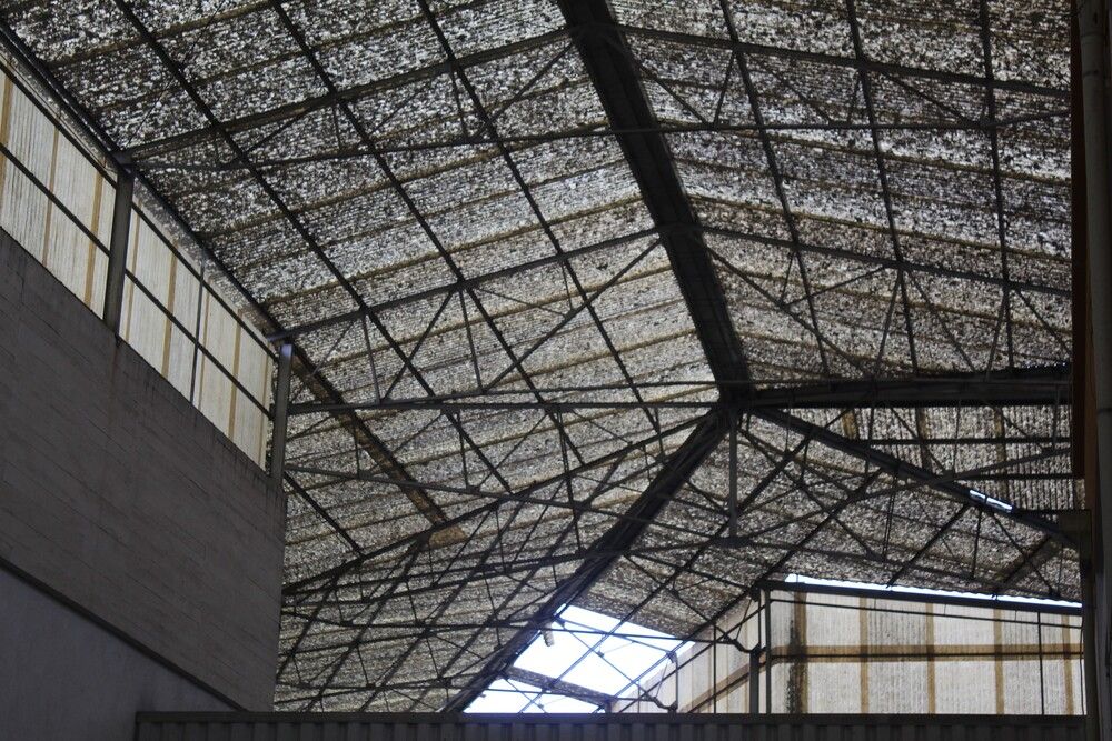 Photograph by Manuel Guedelha