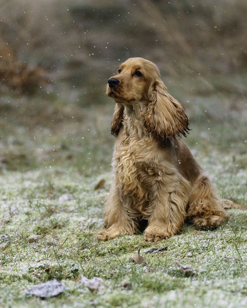 Photograph by Anna Sindikayeva