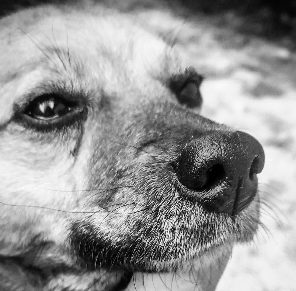 Photograph by Ольга Давыдова