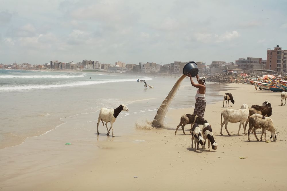 Photograph by Kevya Ronaldo Mpele Mpele