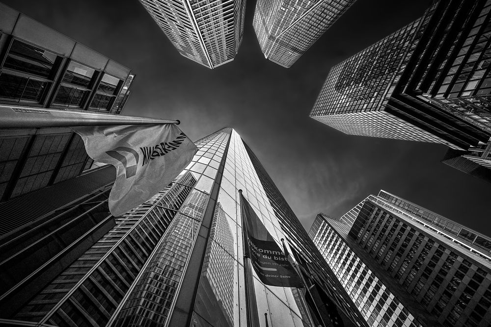 Photograph by Boris Bekelman