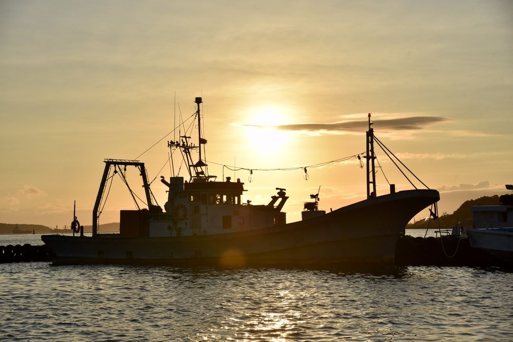 Photograph by Ольга Струкалина