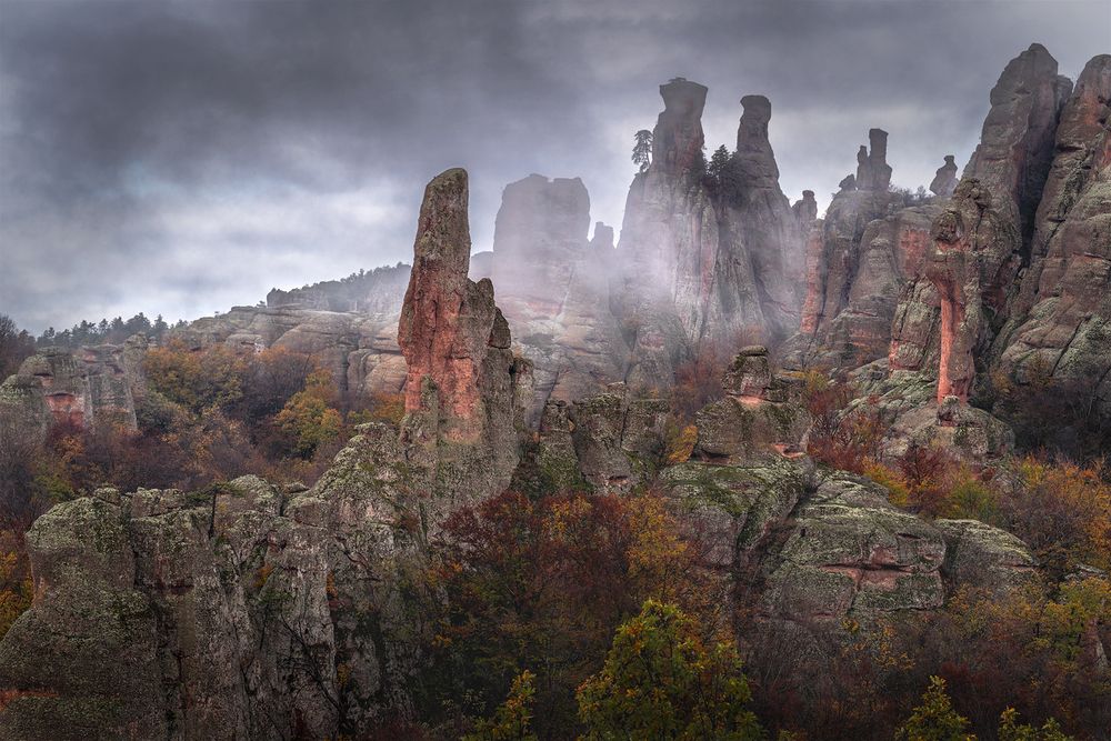 Photograph by Александър Александров
