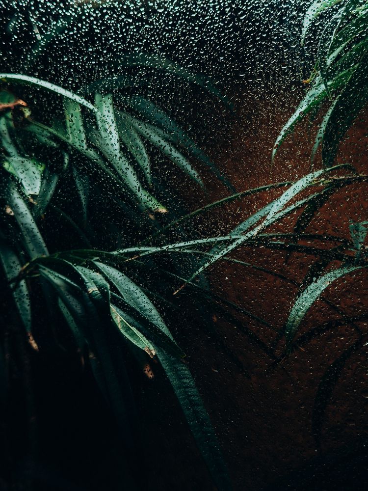 Photograph by Алиса Нежинская