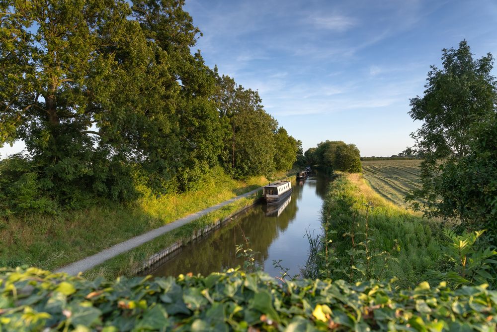 Фотография автора Alexander Pakhomov