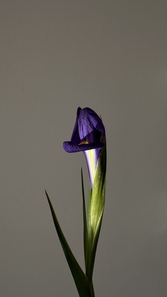 Photograph by Екатерина