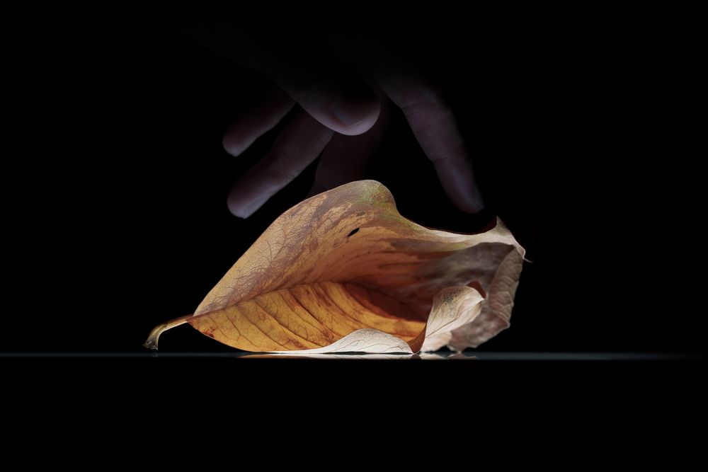 Фотография автора Shin