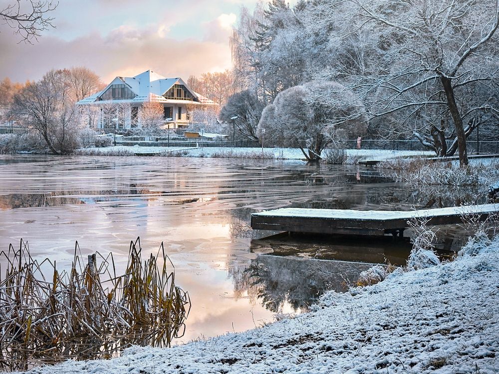 Фотография автора Васильева Светлана