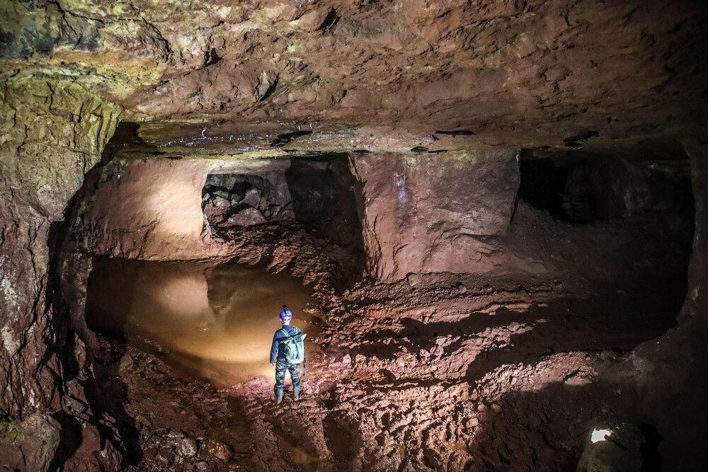 Фотография автора vanessa elbin