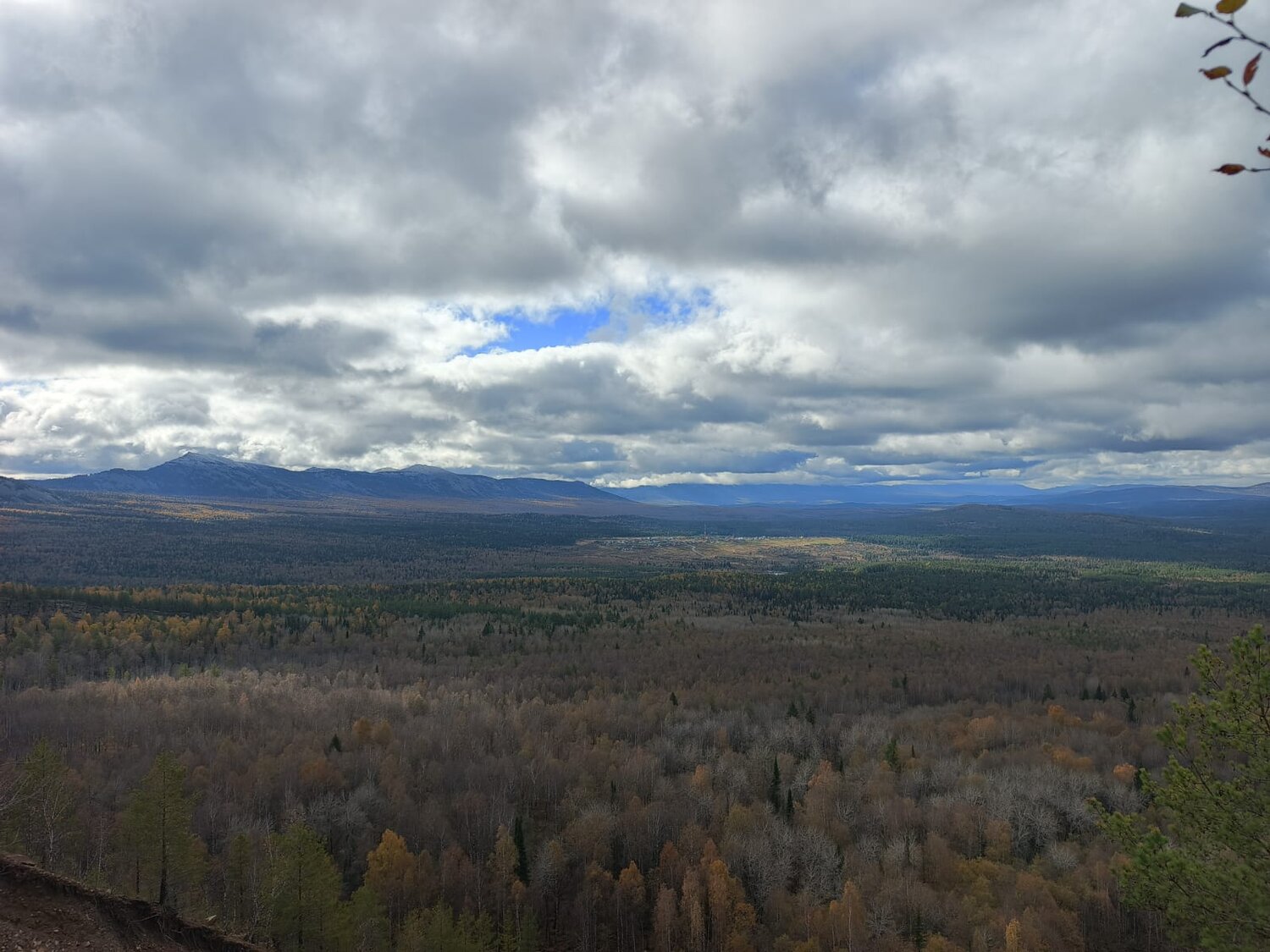 Photo #12891545