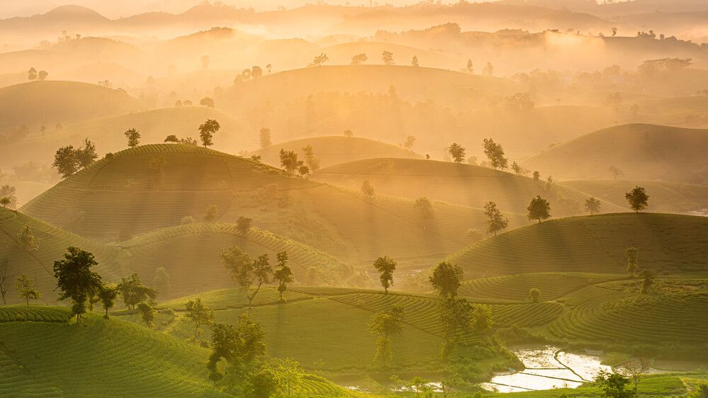 Фотография автора Duc Nguyen