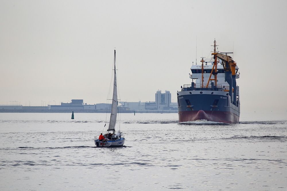 Фотография автора Александр Челмодеев