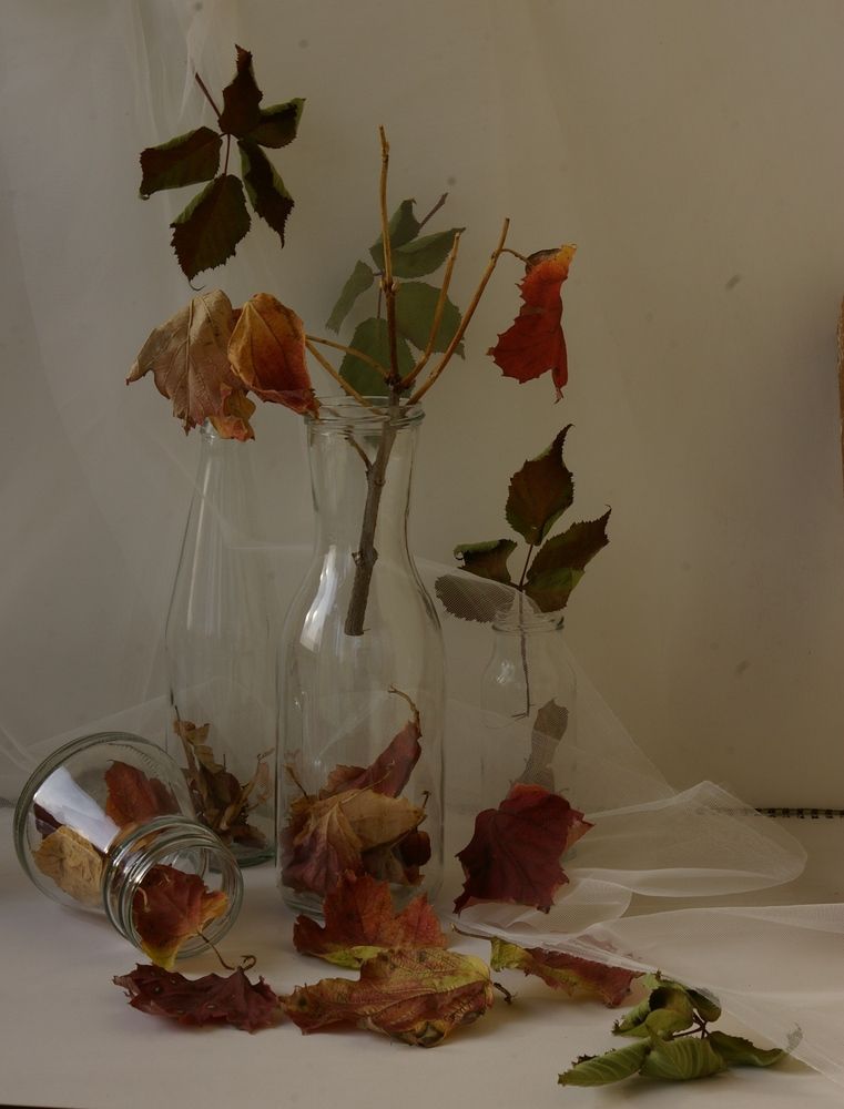 Photograph by Елена Алешкевич
