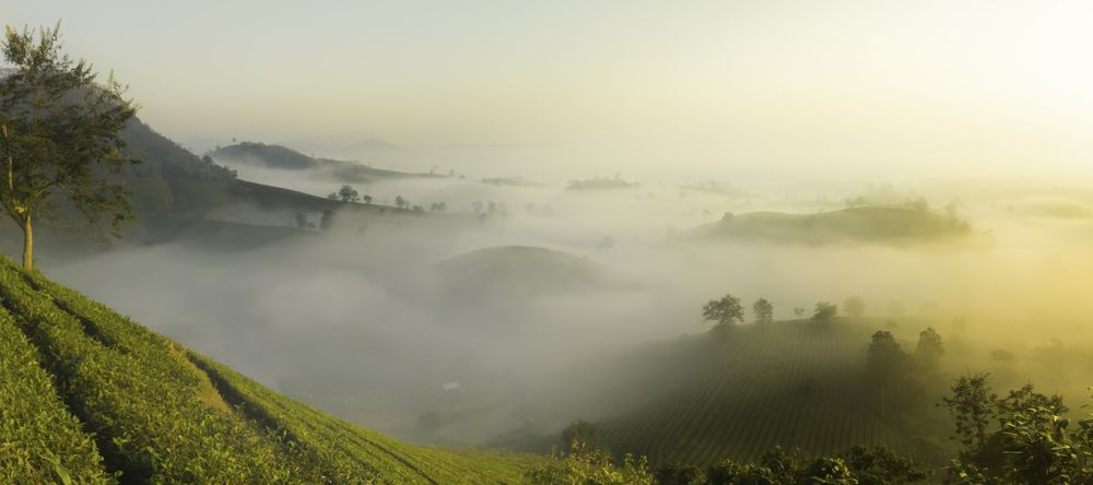 Above the Clouds
