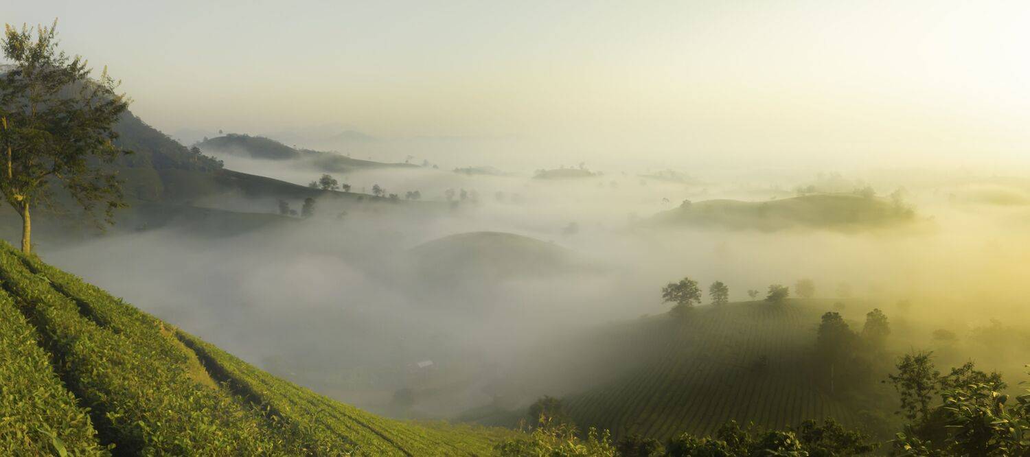 Above the Clouds