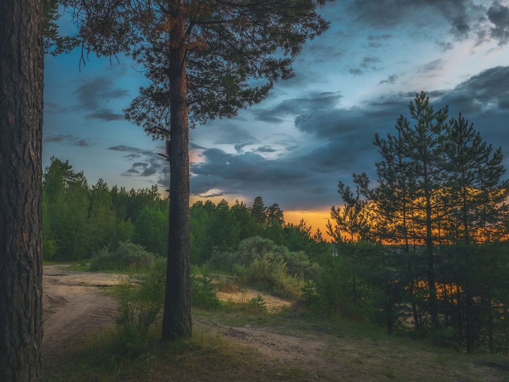 Photograph by Кирилл Сидоров