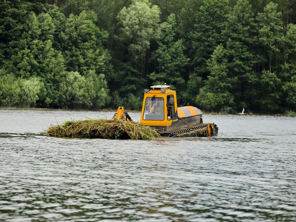 Фотография автора Илья К