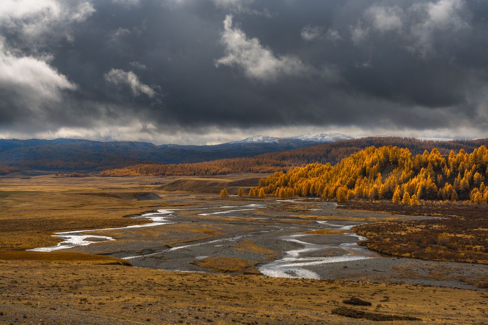 Небеса Алтая