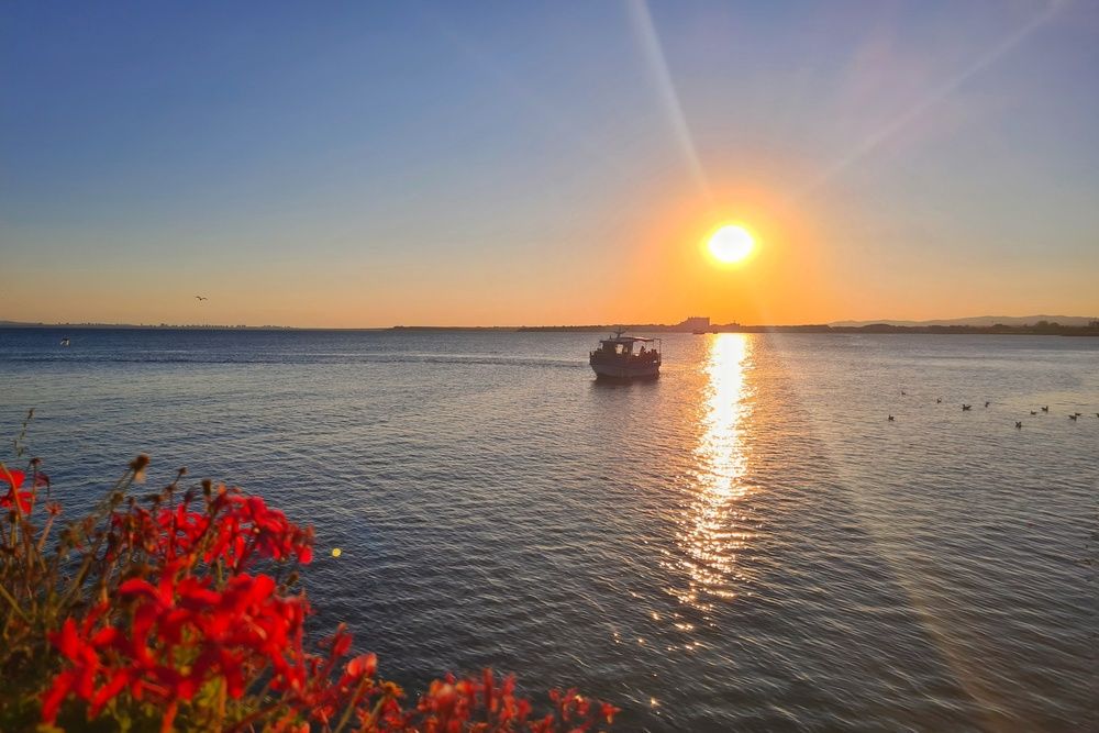 Photograph by Нели Арнаудова