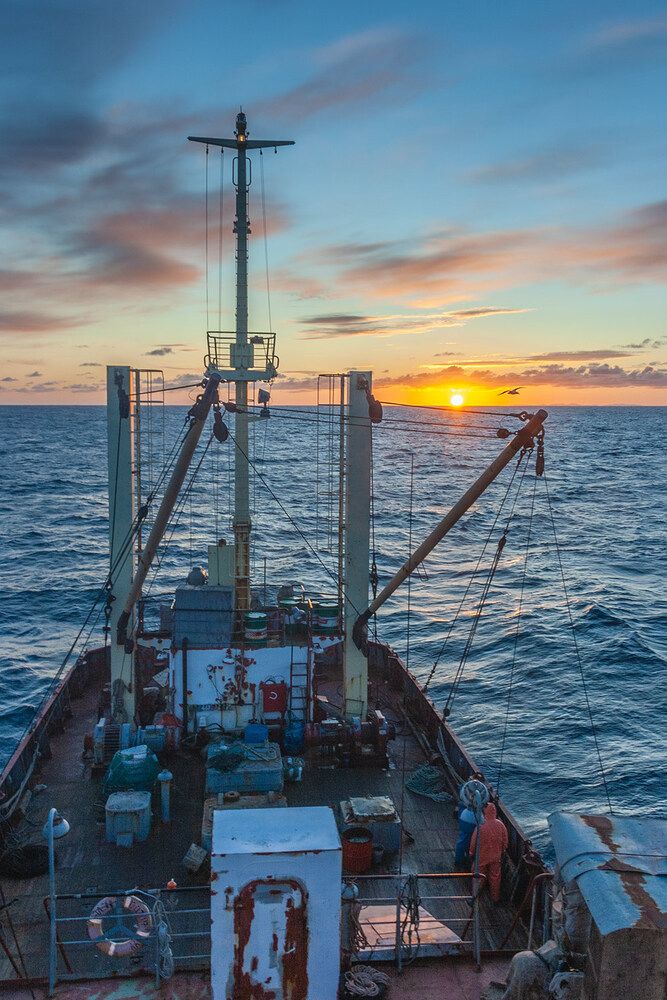 Photograph by Андреев Николай