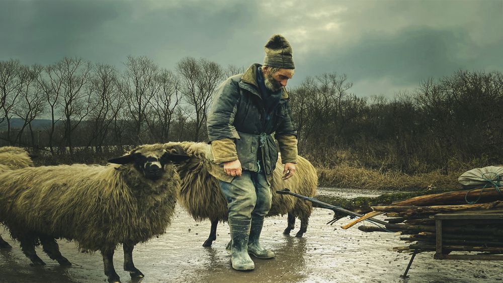 Photograph by Fodor Andras