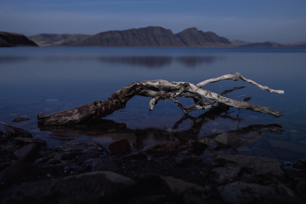Фотография автора Анна Рыжкова