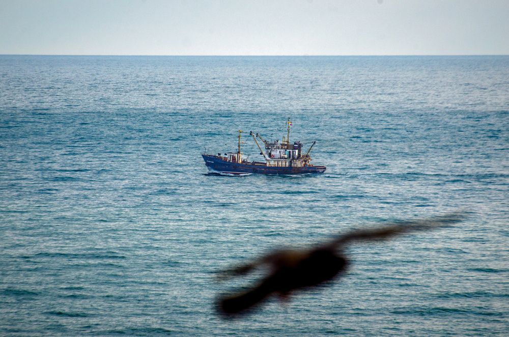 Photograph by Евгений Королев
