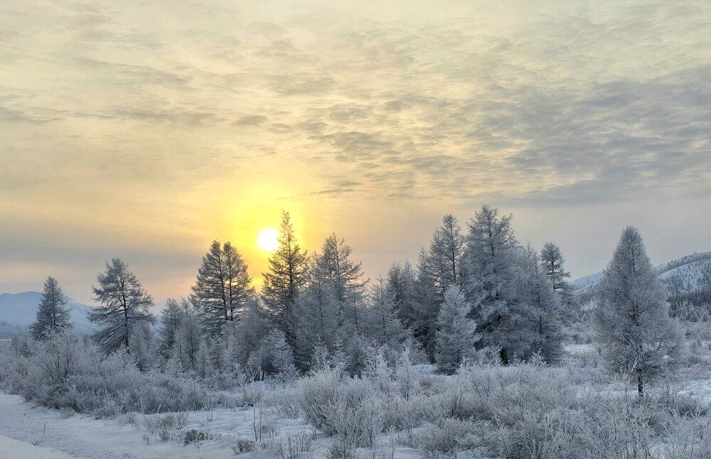 Photograph by Лариса Ким