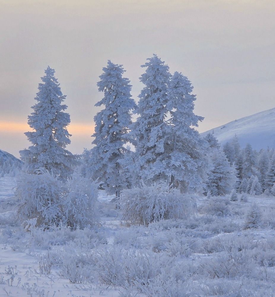 Фотография автора Лариса Ким
