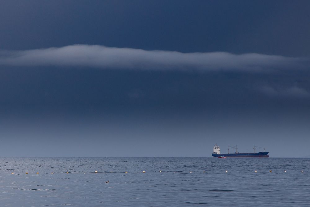 Фотография автора Анна Рыжкова