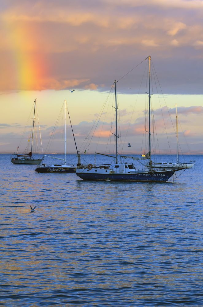 Добрый знак