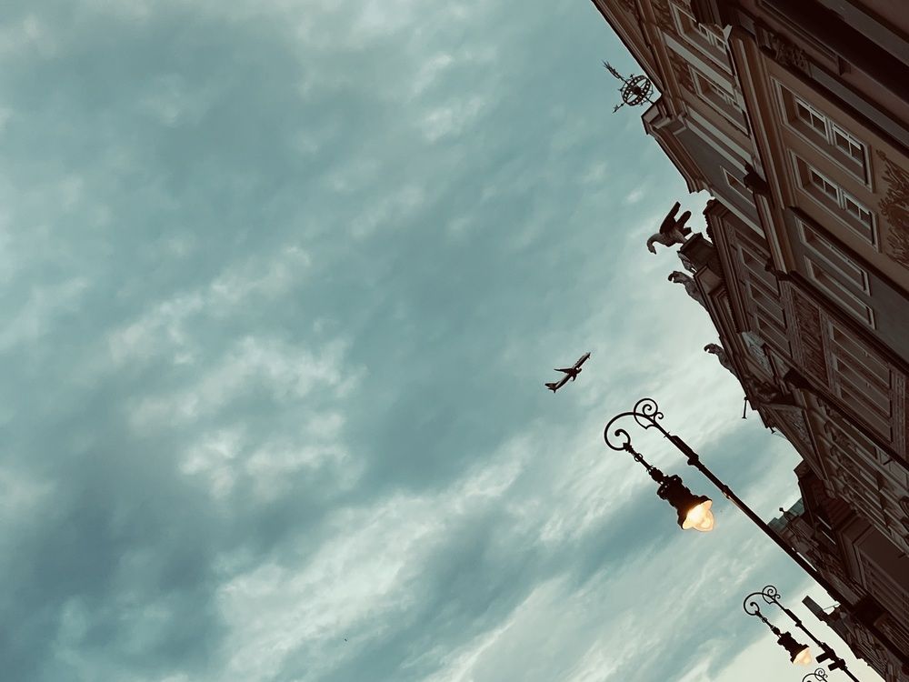 Photograph by Марина Легчилова