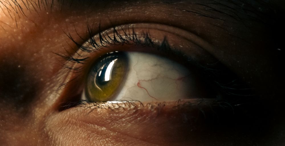 Photograph by NADER AYMAN