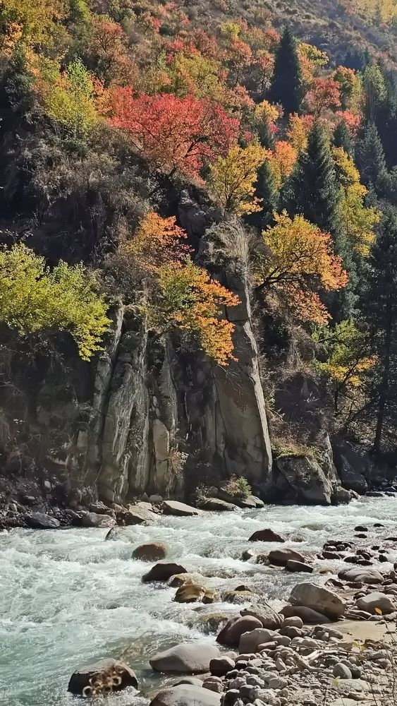 Photograph by Наталья Баранова