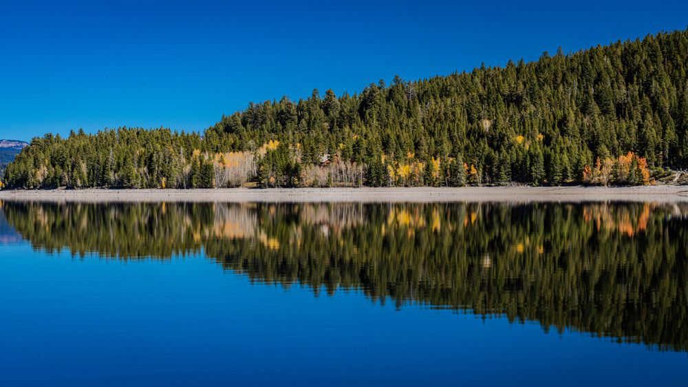 Photograph by Athul Konikkara