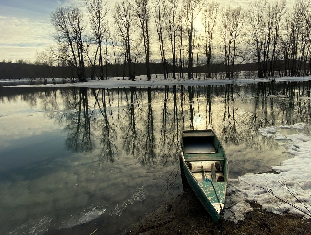 Photograph by Алла Саблина