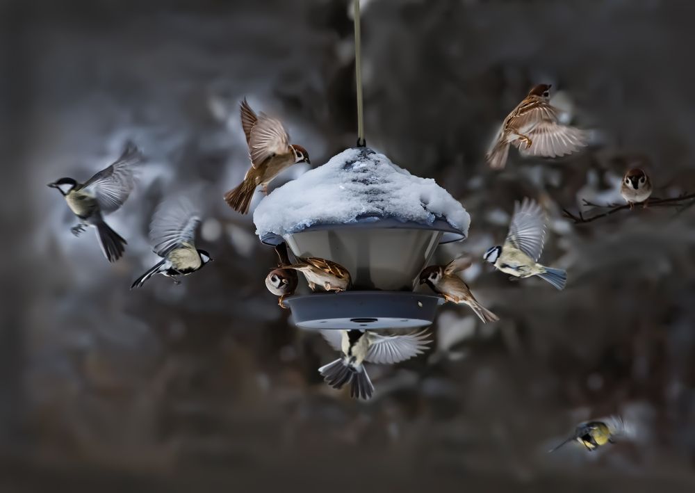Photograph by Валентин Черновол