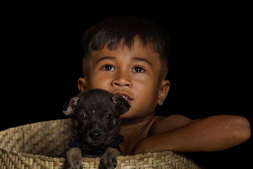 Фотография автора QUAN NGUYEN HUNG